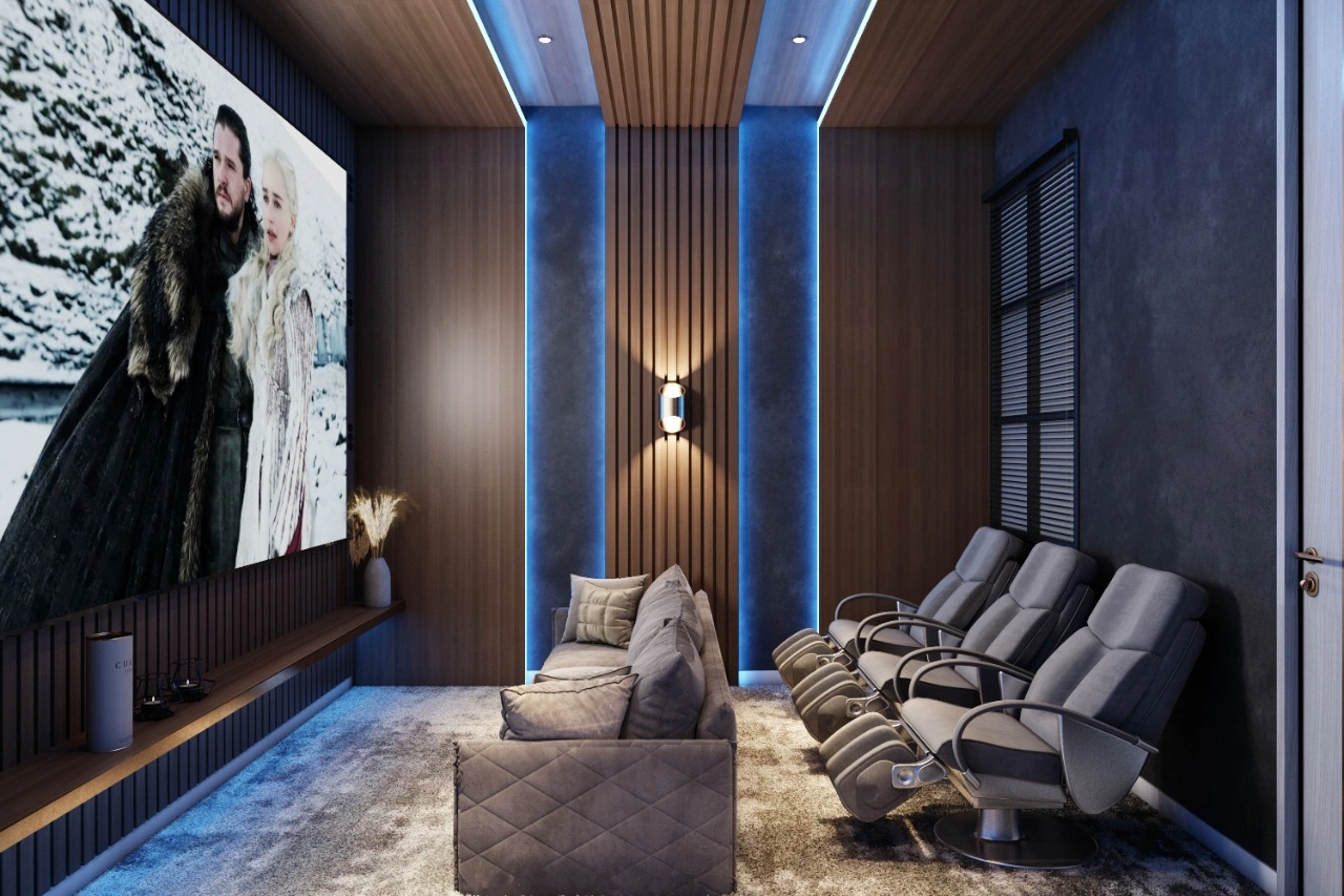 Cinema Hall View 1